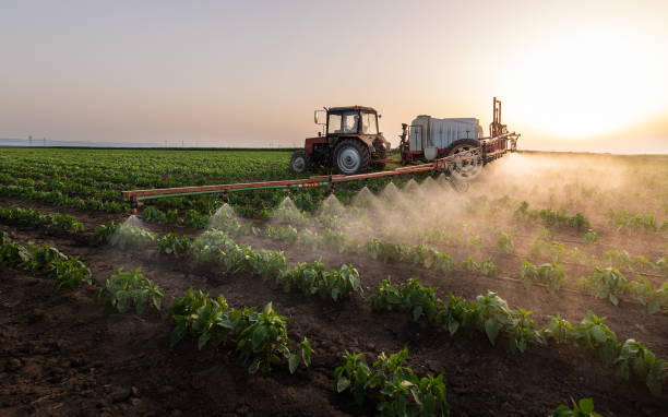Best Ant Control Services  in West Sharyland, TX