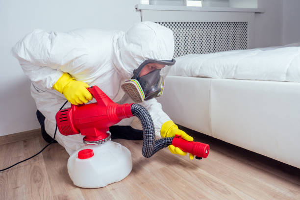 Trusted West Sharyland, TX Pest Control Experts