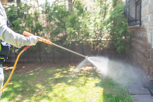 Best Local Pest Control Services  in West Sharyland, TX